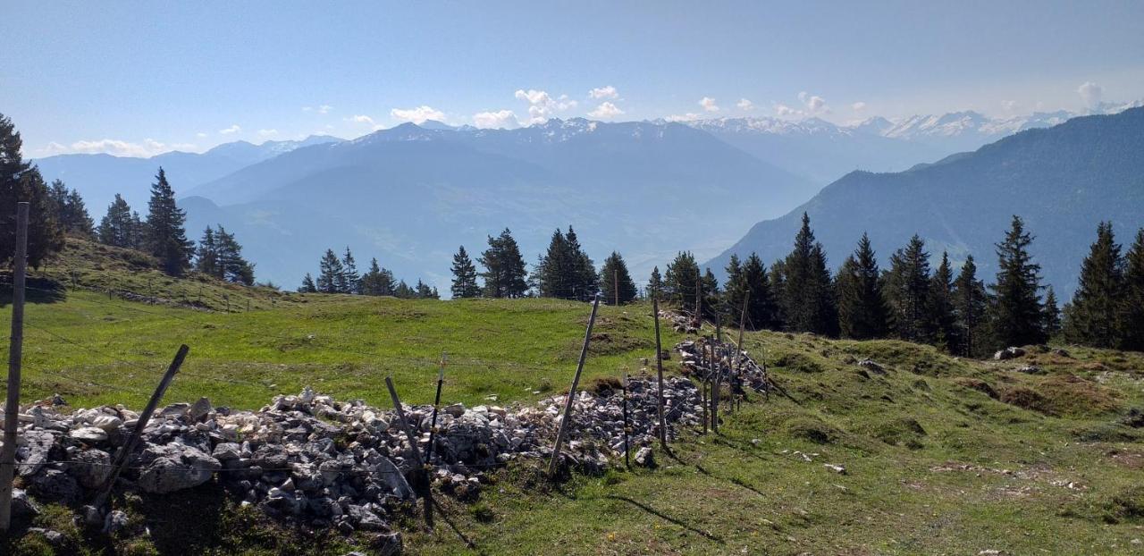 Ferienwohnungen Hochzillertal Kaltenbach Luaran gambar