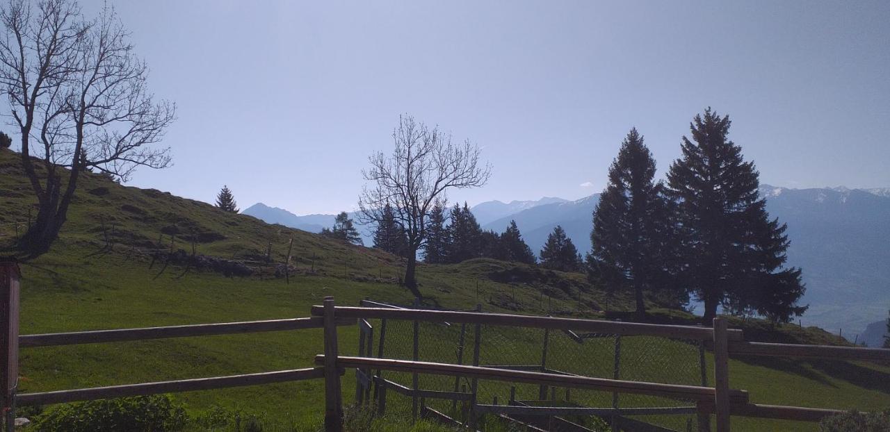 Ferienwohnungen Hochzillertal Kaltenbach Luaran gambar